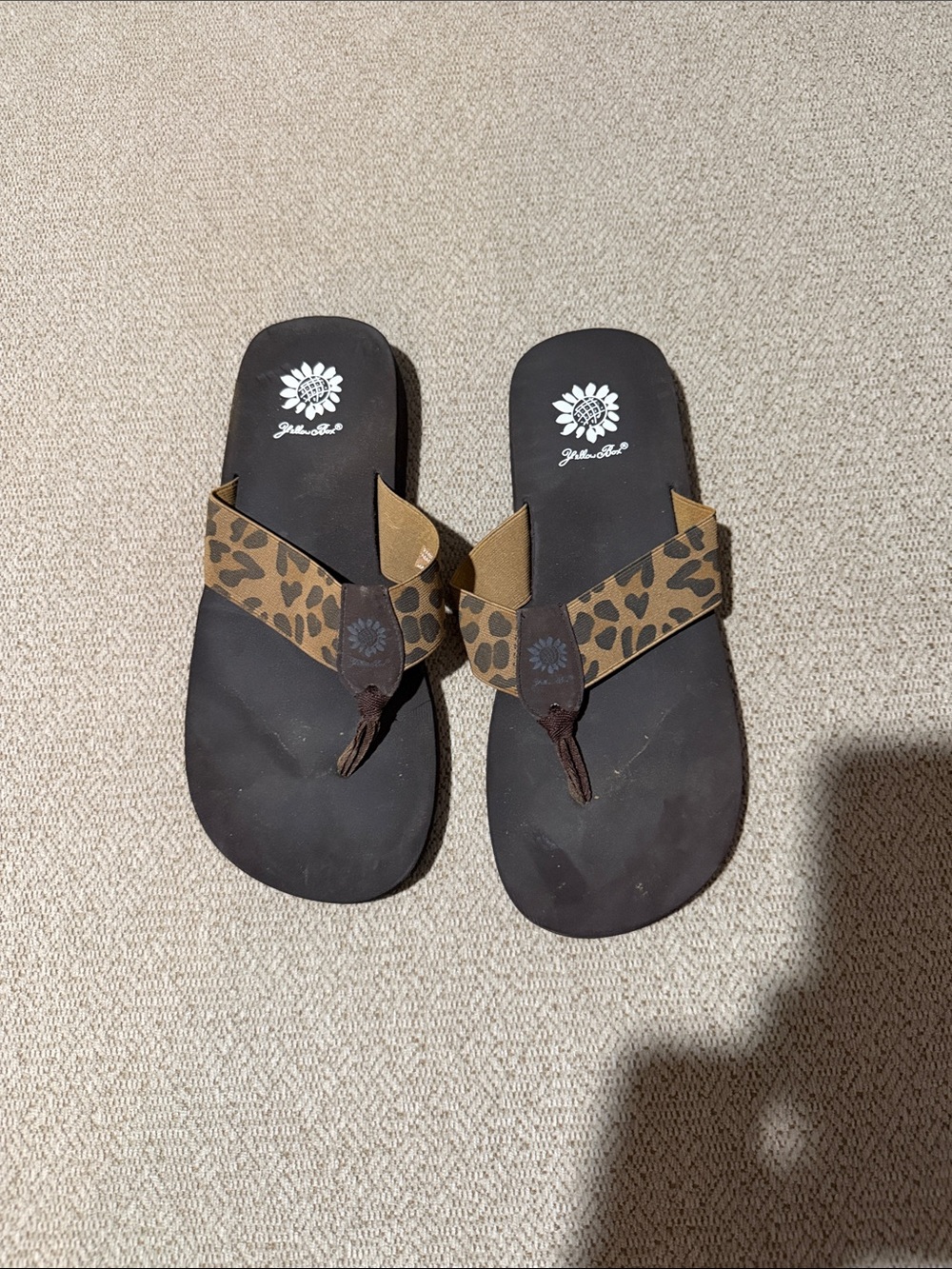 Yellow Box Leopard Print Brown and Black Flip Sandals